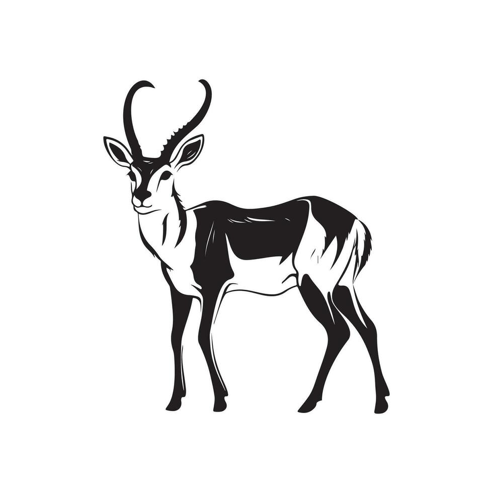 antilope vettore arte, icone, e grafica