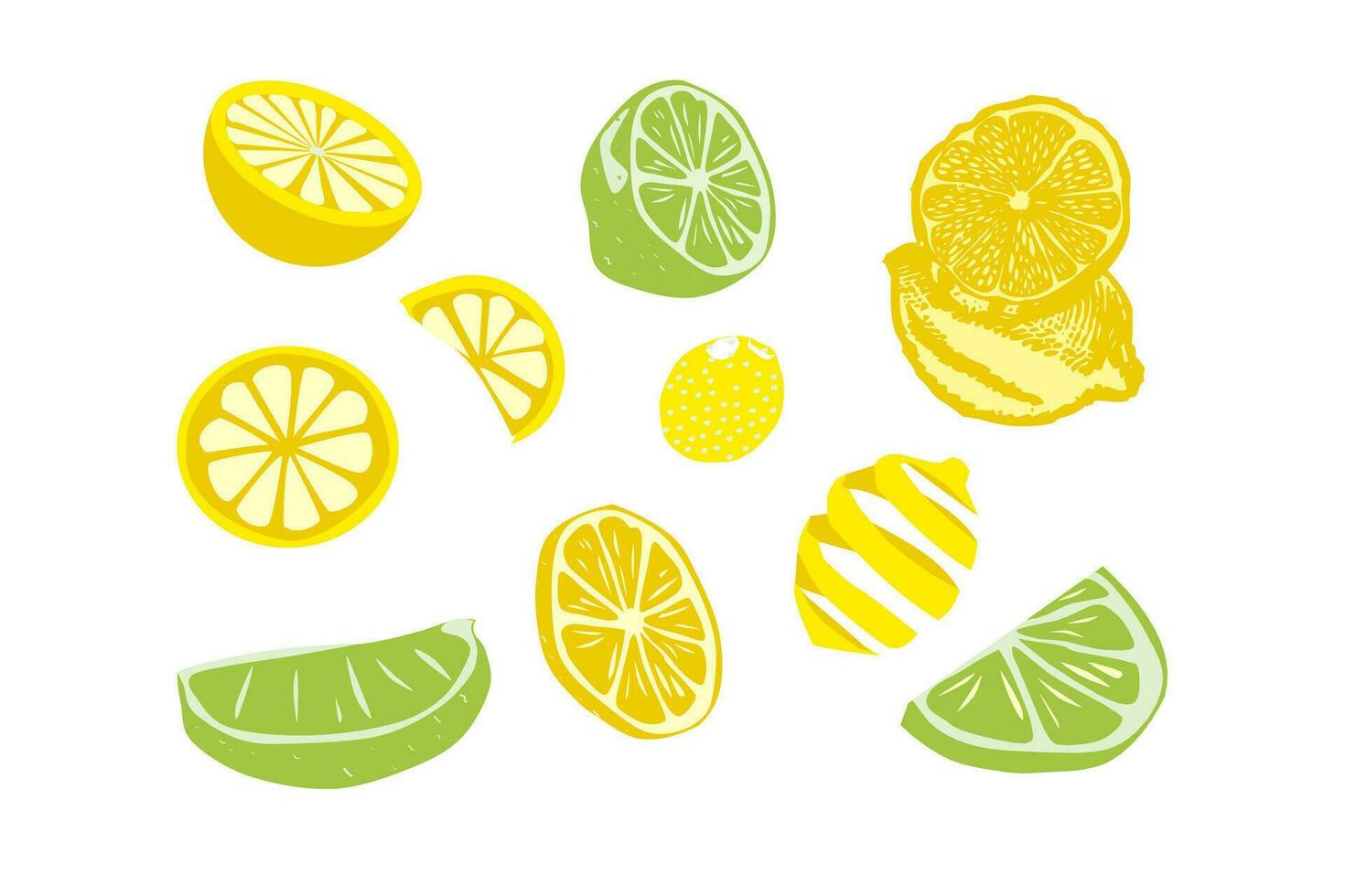 Limone, lime, Limone, lime fette. vettore illustrazione.