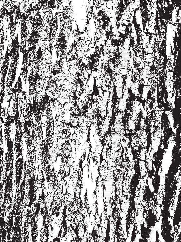 struttura della corteccia di albero di lerciume. trama di sovrapposizione in difficoltà. trama vettoriale in bianco e nero
