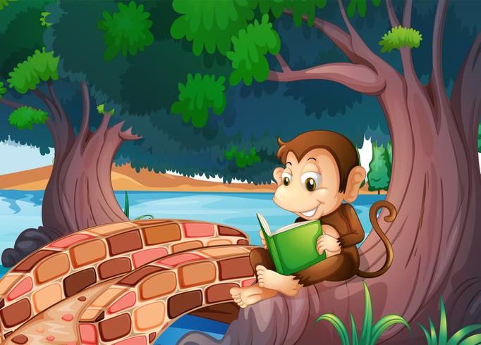 Una scimmia che legge un libro sotto il grande albero vicino al ponte vettore