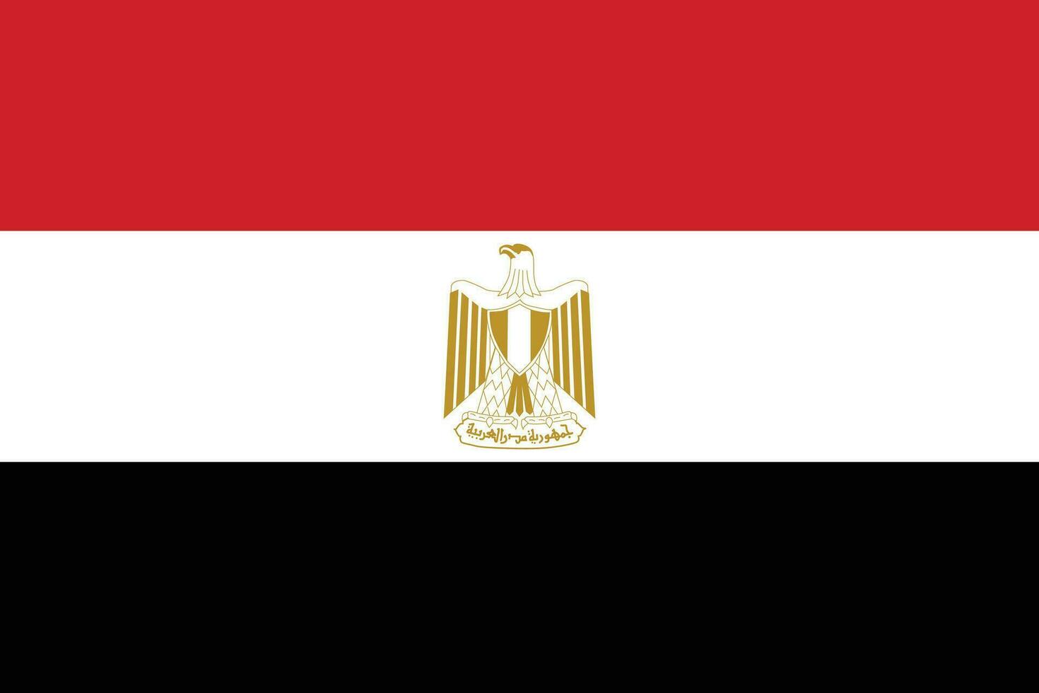 bandiera di egitto.nazionale bandiera di Egitto vettore