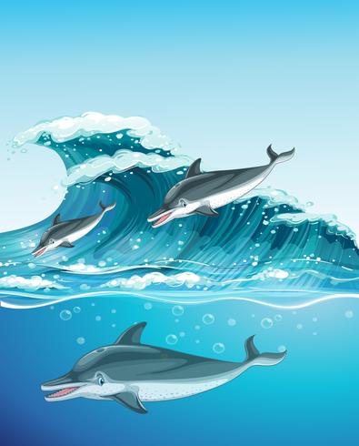 Tre delfini che nuotano nell&#39;oceano vettore