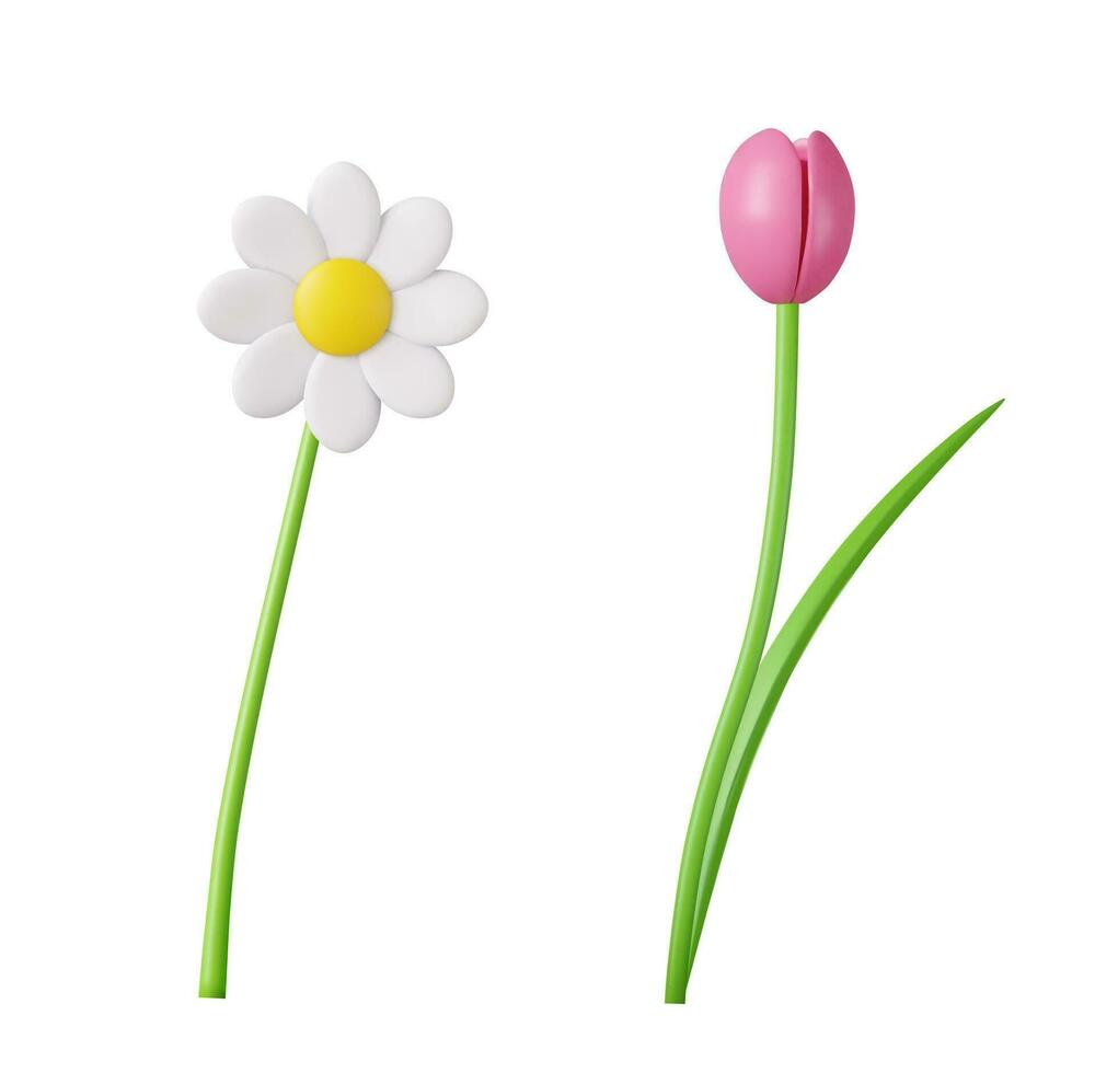 3d primavera fiori. camomilla, tulipano vettore