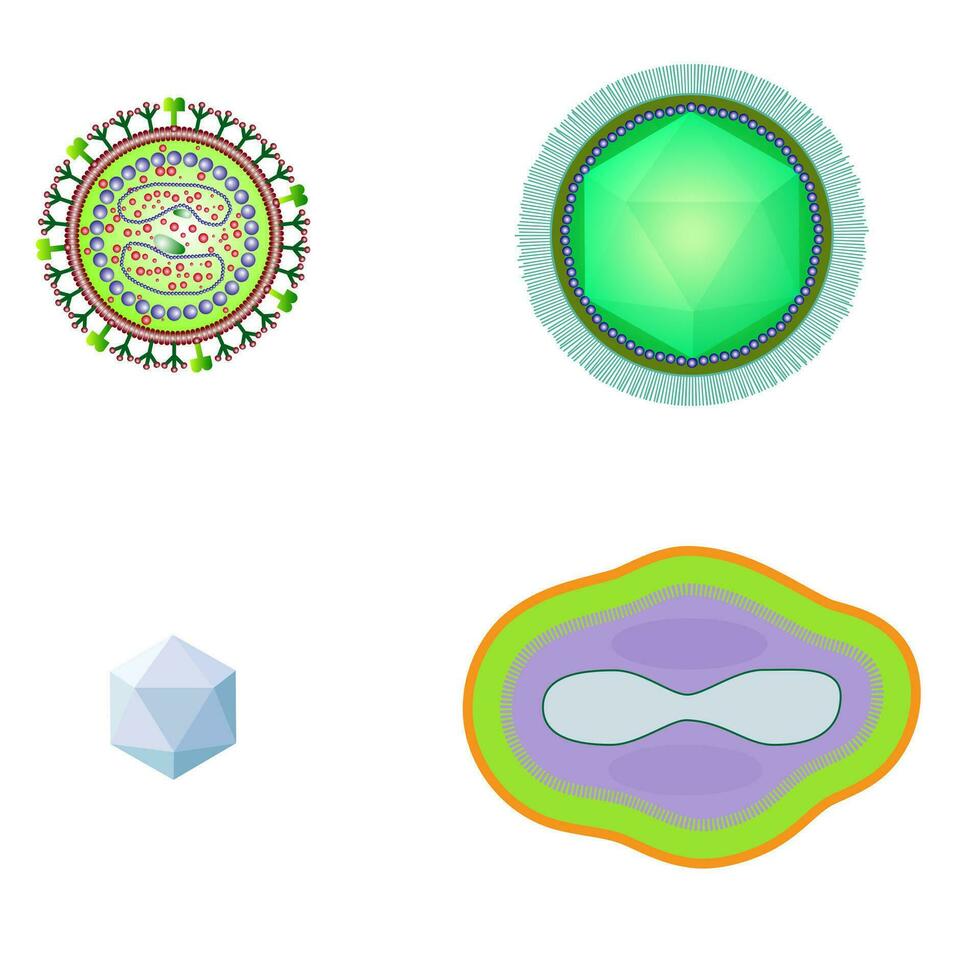 batteri e virus cellule isolato. vettore