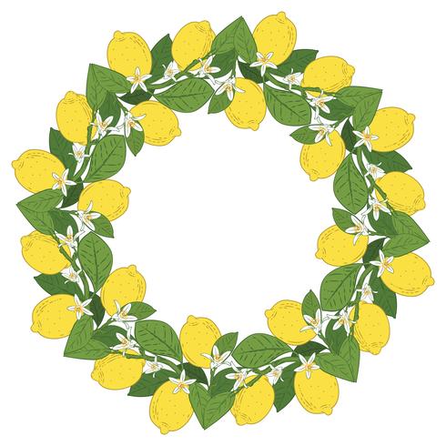 Frutti tropicali di agrumi limone con cornice rotonda di fiori. Estate sfondo colorato Illustrazione vettoriale