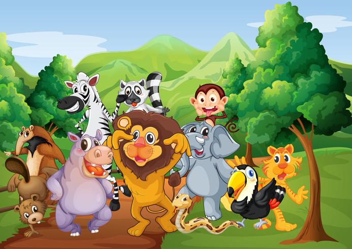 Un gruppo di animali nella giungla vettore