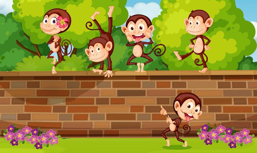 Una scimmia di gruppo che gioca al muro di mattoni vettore