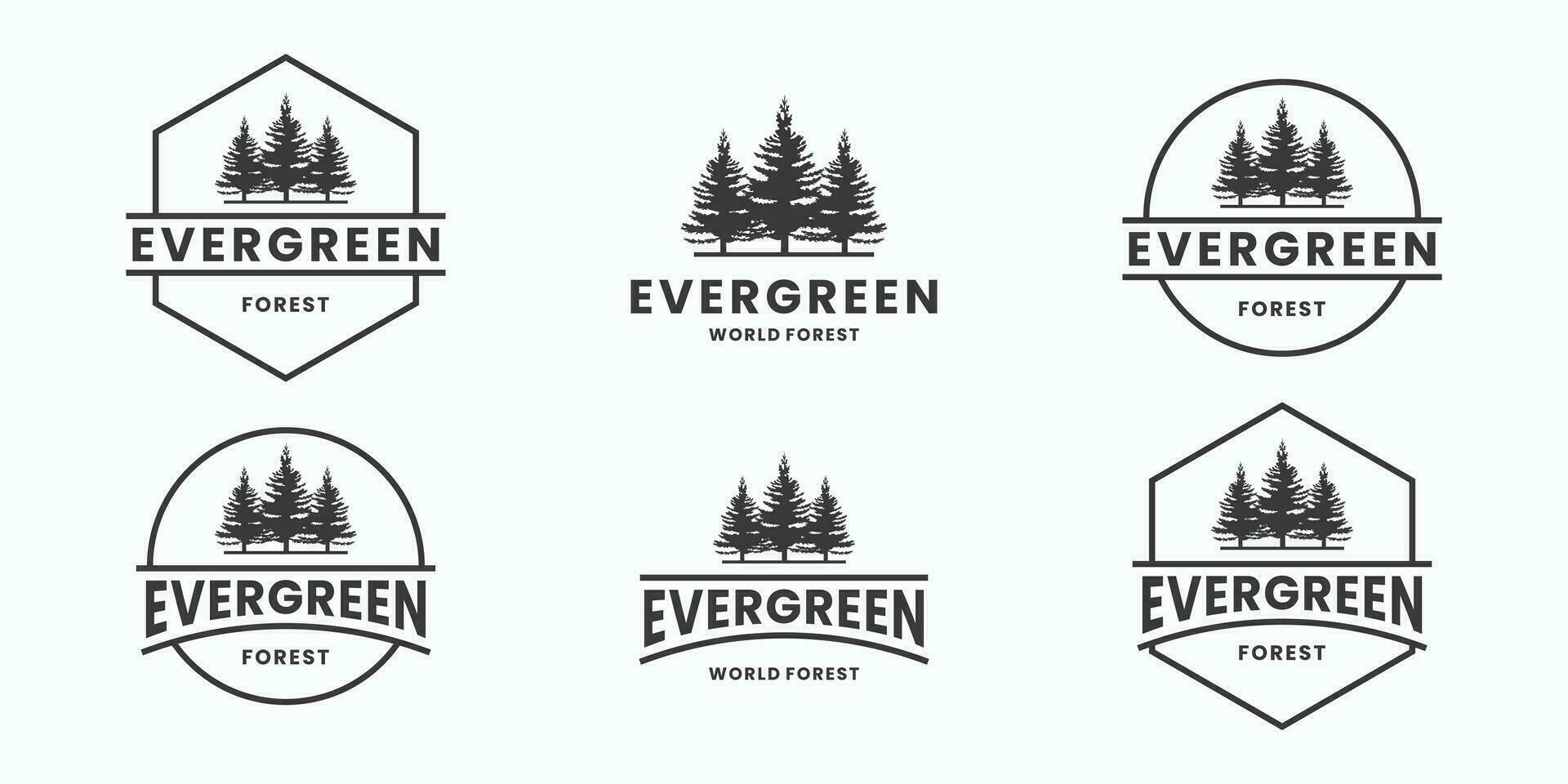impostato di sempreverde, pino albero logo design vettore