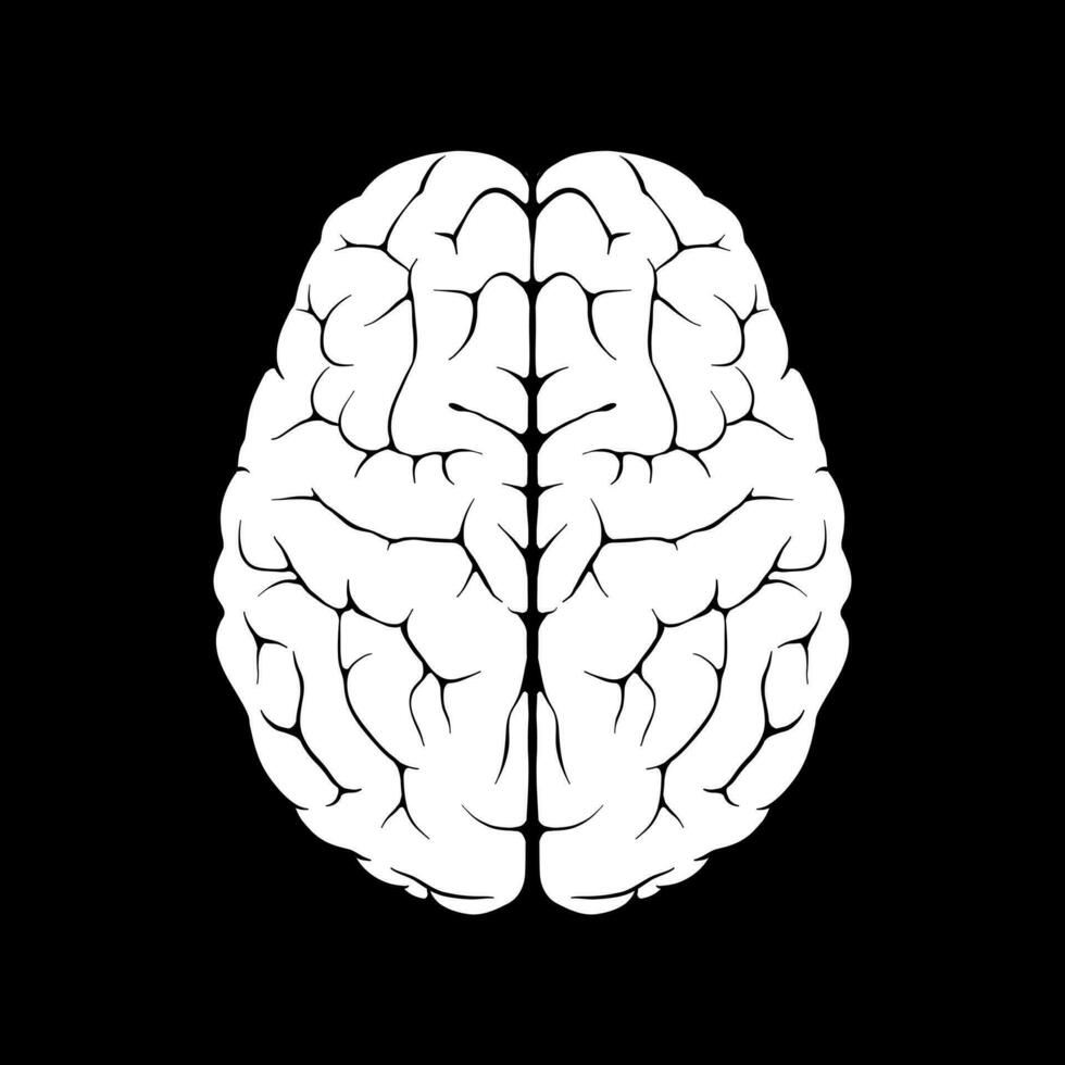 nero e bianca illustrazione di il cervello vettore