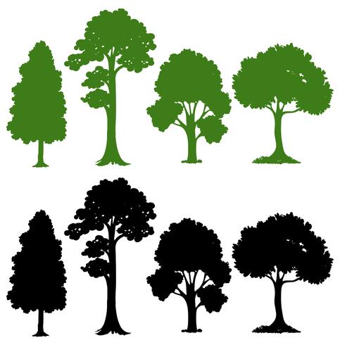 Set di albero silhouette vettore