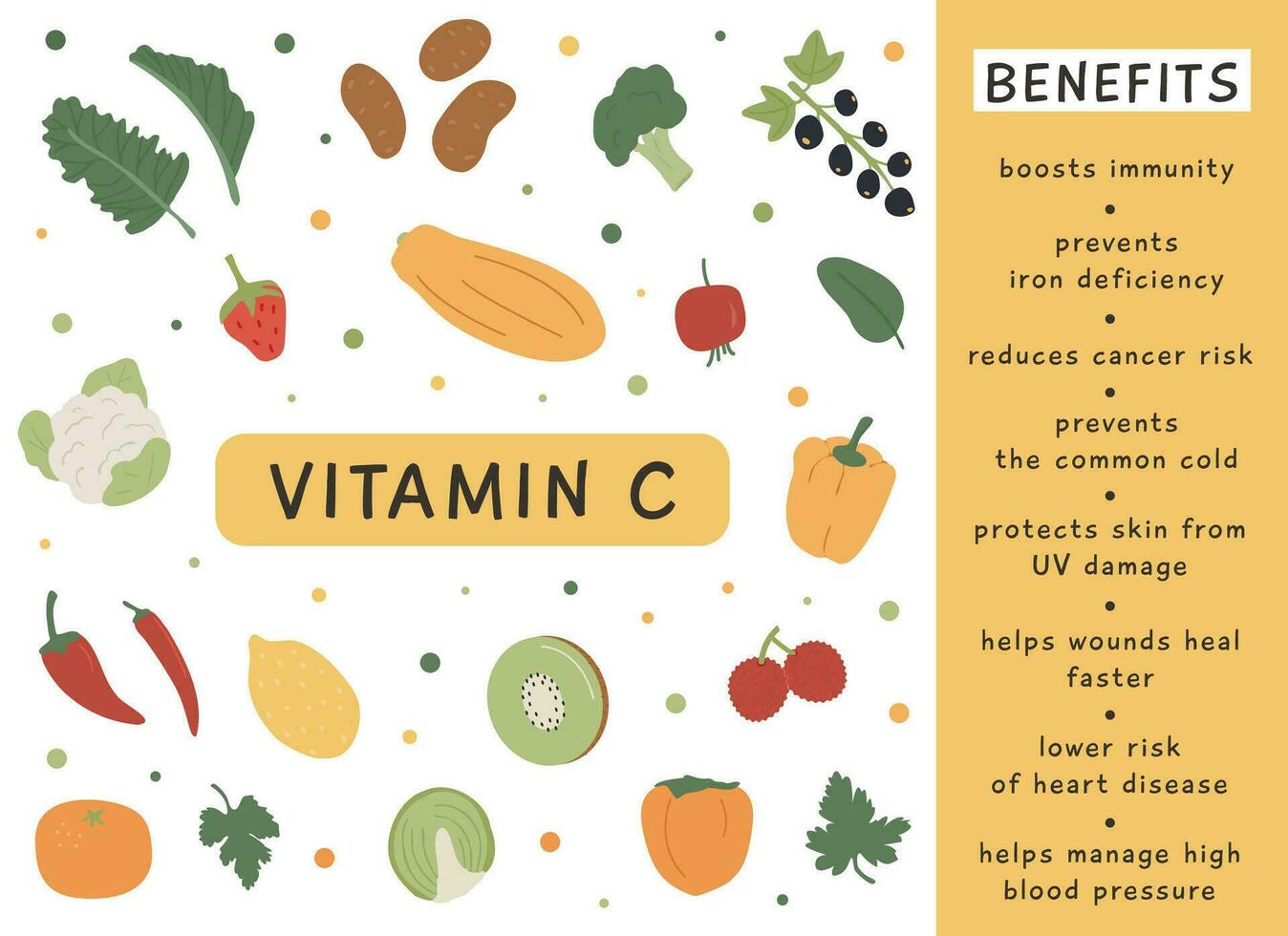 alto vitamina c cibo fonti per salutare dieta. un informazione carta con massimo vitamine c verdure e frutta. dietetico biologico nutrizione. vettore illustrazione impostato nel piatto stile su bianca sfondo.