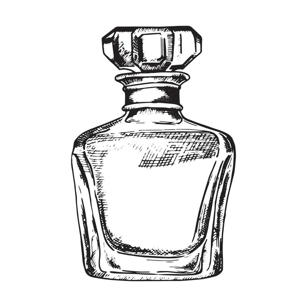 bottiglie con profumo, vettore disegno nel schizzo stile. Vintage ▾