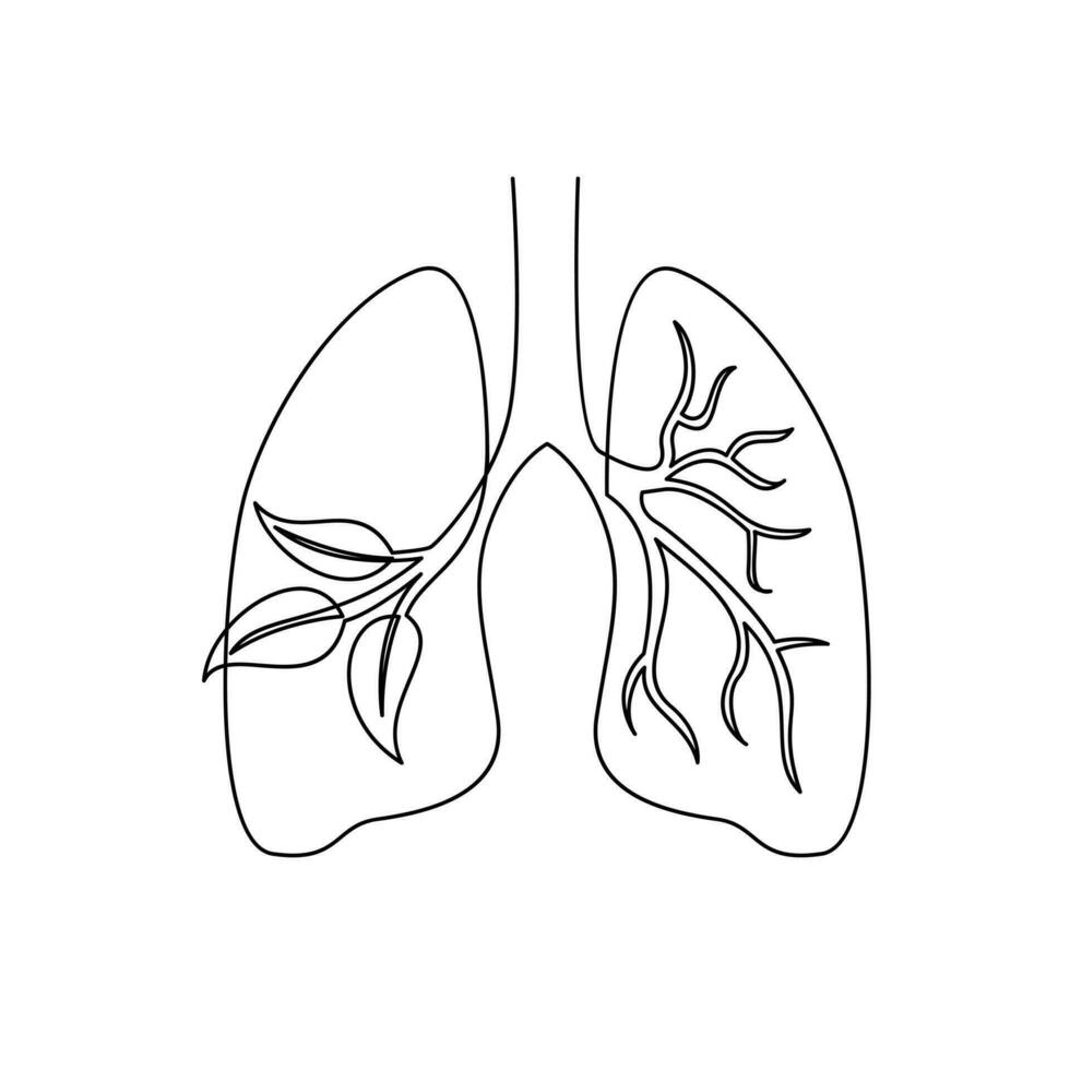 polmone singolo linea illustrazione disegno vettore