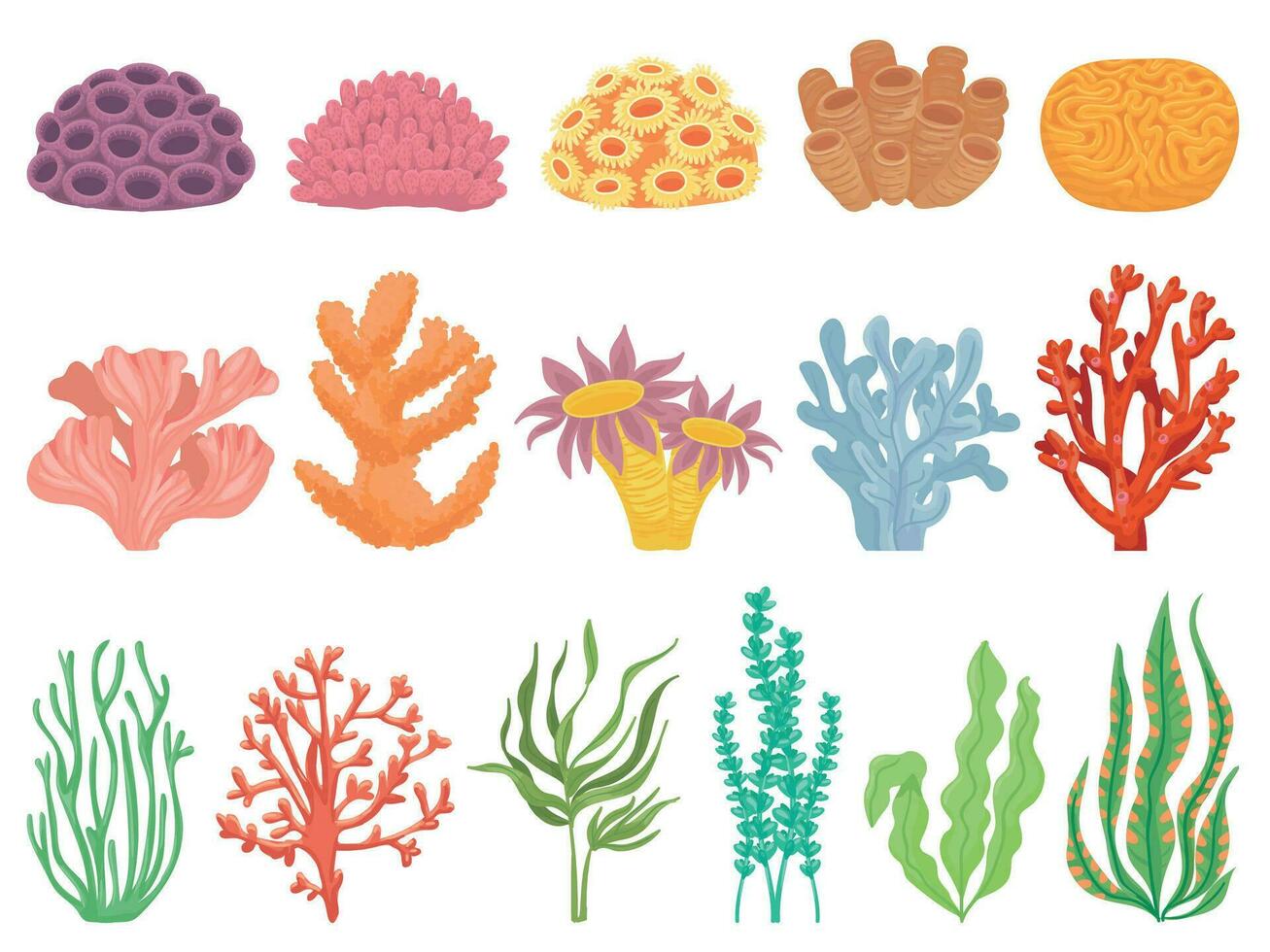 oceano corallo. alghe e mare pianta creature, marino fuco. subacqueo scogliera flora, coralli e alghe vettore cartone animato acquario isolato impostare.