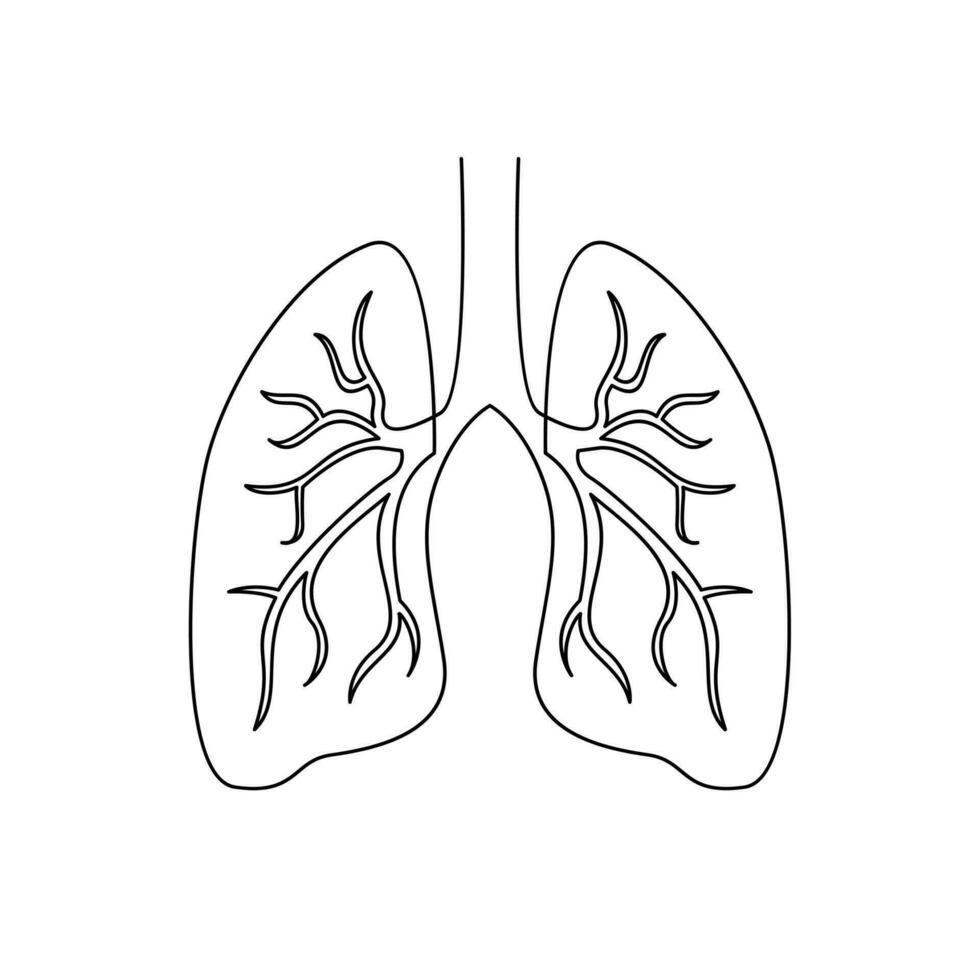 polmone singolo linea illustrazione disegno vettore