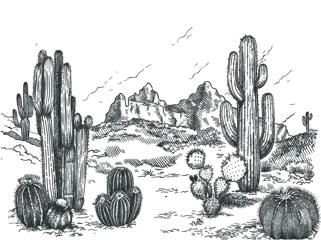 deserto paesaggio. mano disegnato messicano prateria con impianti e fioritura cactus, spinoso succulente natura selvaggio ovest schizzo vettore sfondo