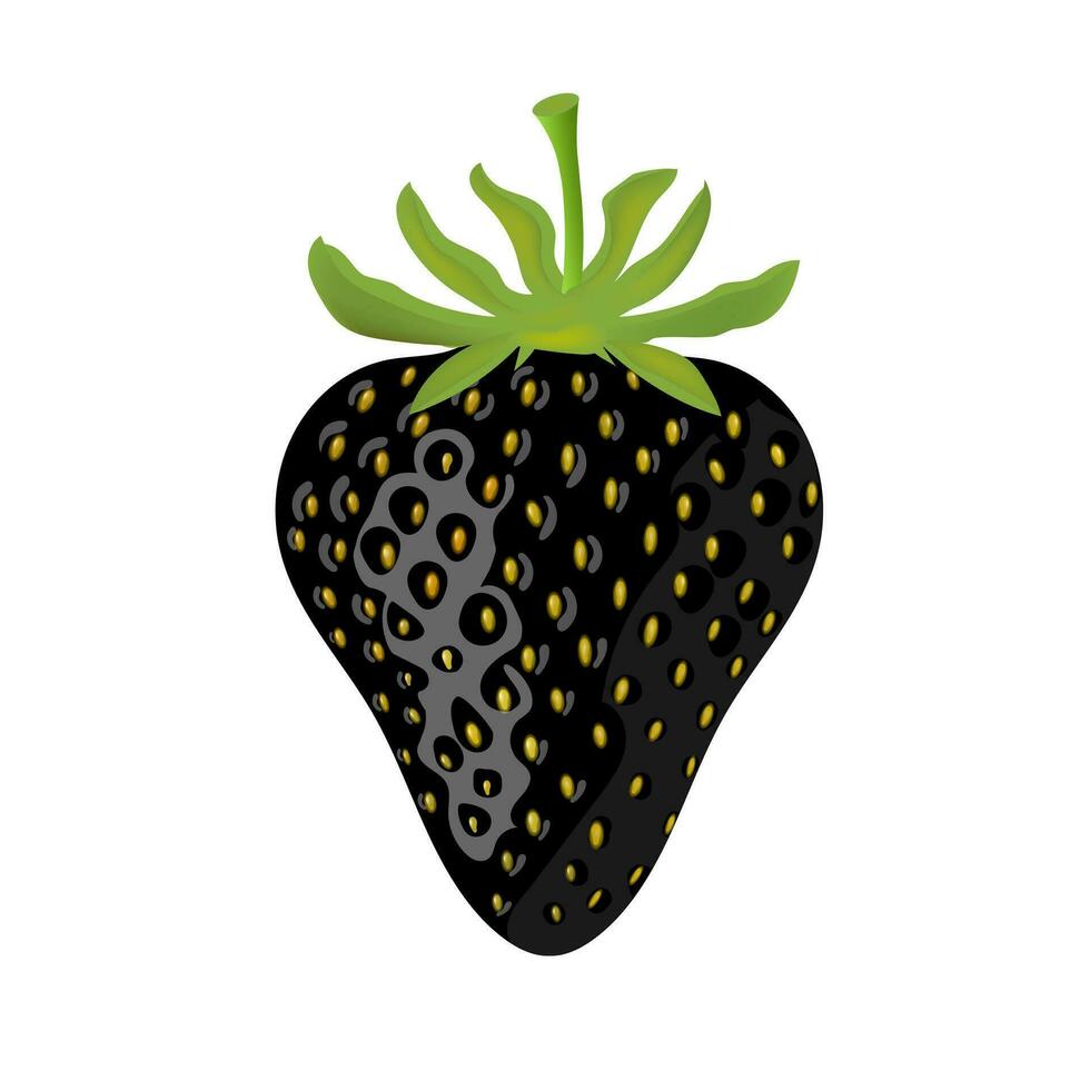 fragola nero estate frutta su bianca sfondo. vettore illustrazione eps 10. creativo concetto.