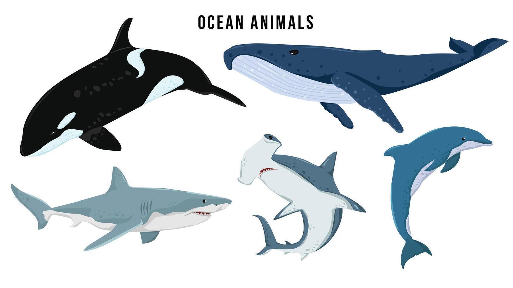 impostato di oceano animali. squalo, balena, martello squalo, delfino, orca, natura subacqueo animali vettore illustrazione