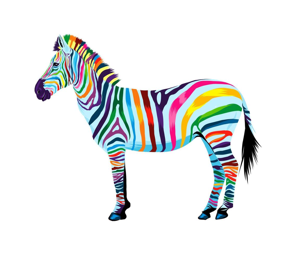 zebra da vernici multicolori. spruzzata di acquerello, disegno colorato, realistico. illustrazione vettoriale di vernici