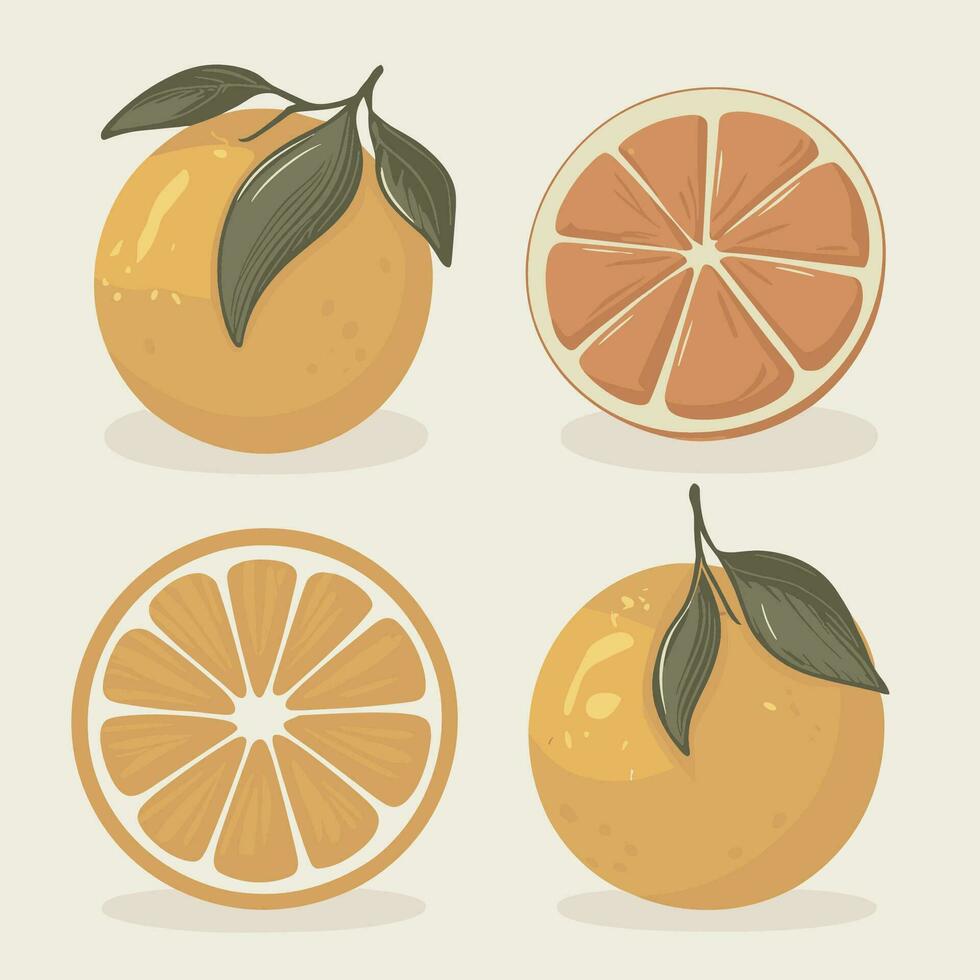 un' impostato di arance con le foglie e fette vettore