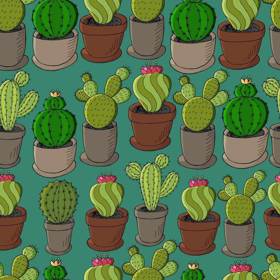 illustrazione vettoriale carino. cactus, aloe, piante grasse. elementi naturali decorativi