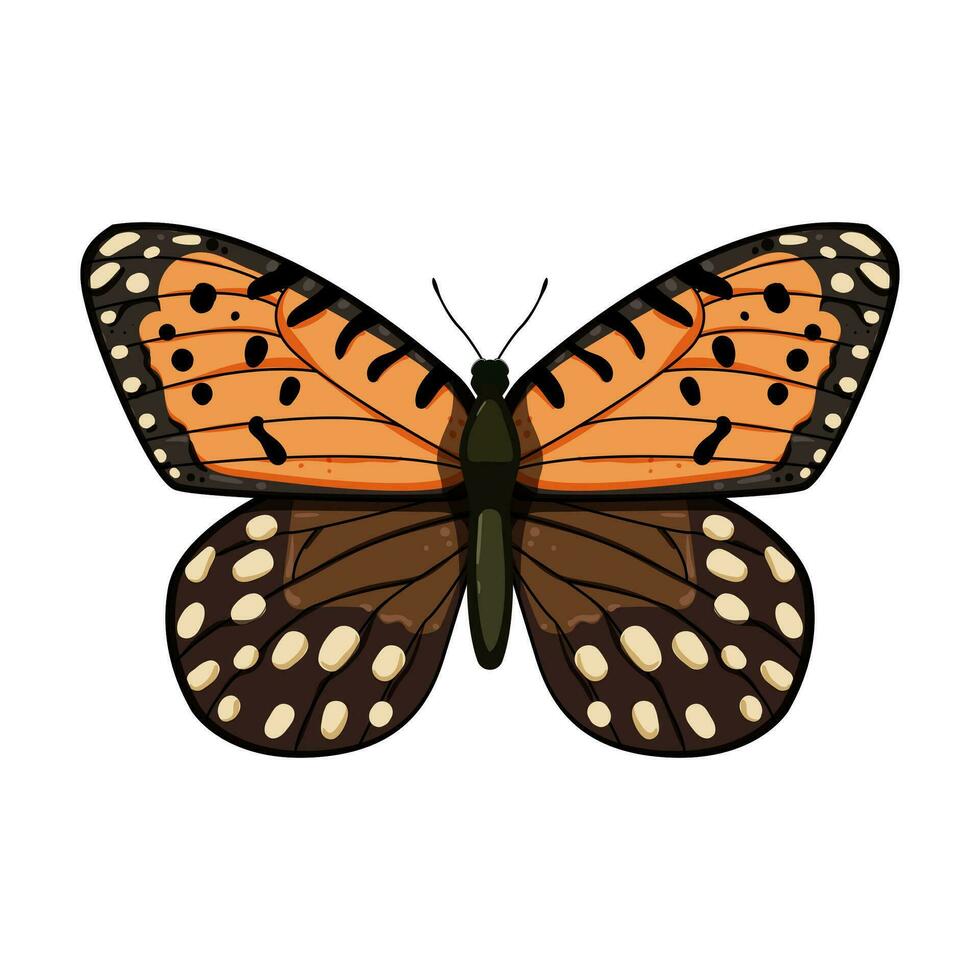 ala farfalla cartone animato vettore illustrazione
