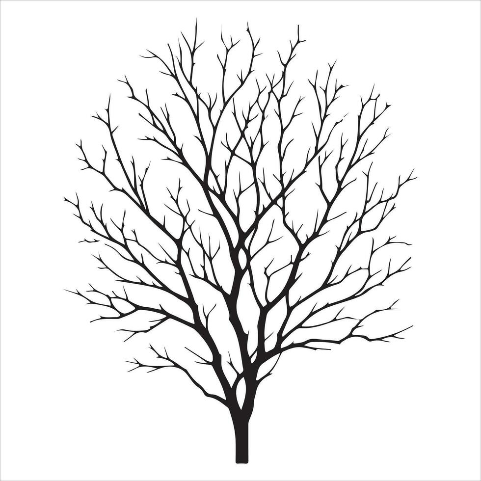 minimo autunno nudo albero vettore silhouette