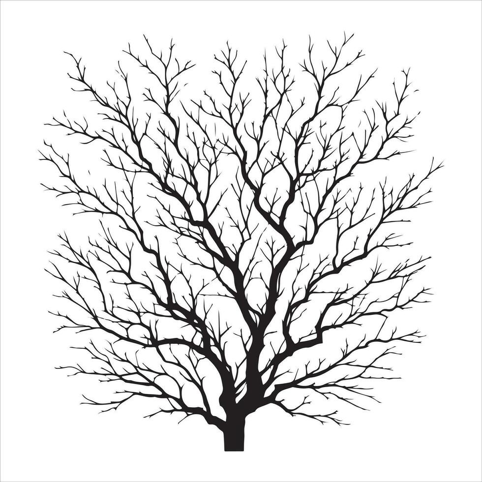 minimo autunno nudo albero vettore silhouette