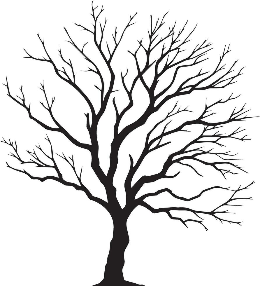 nudo albero vettore silhouette nero colore