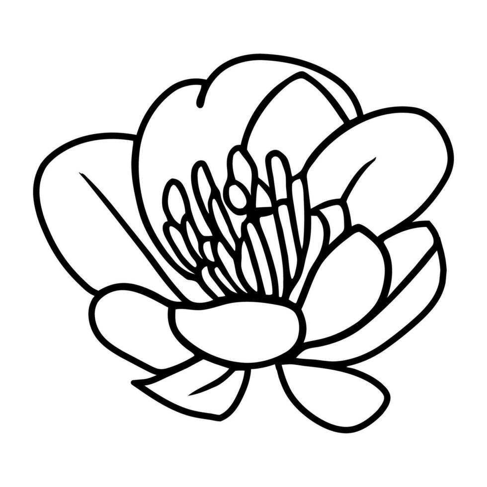 mano disegnato semplice fiore illustrazione vettore