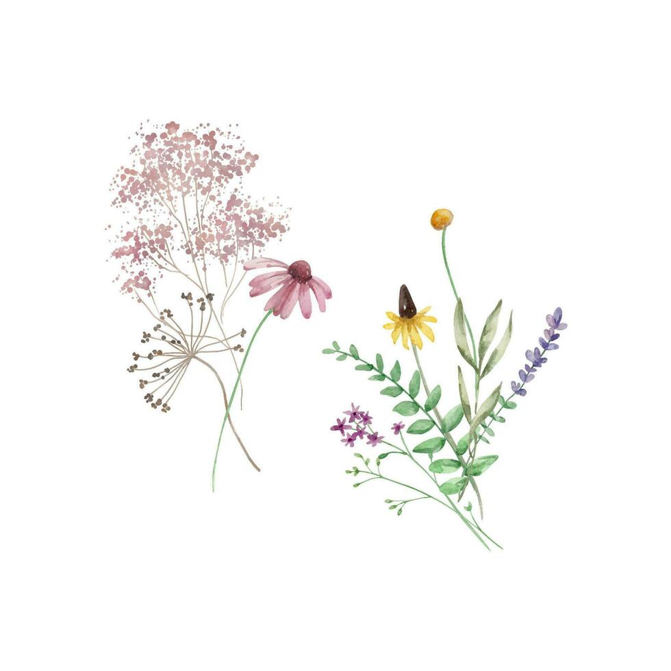 acquerello mazzo di fiori selvatici, illustrazione per carte e inviti vettore