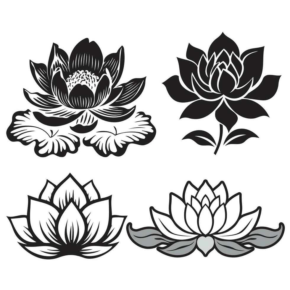 schema loto fiore tatuaggio stile vettore