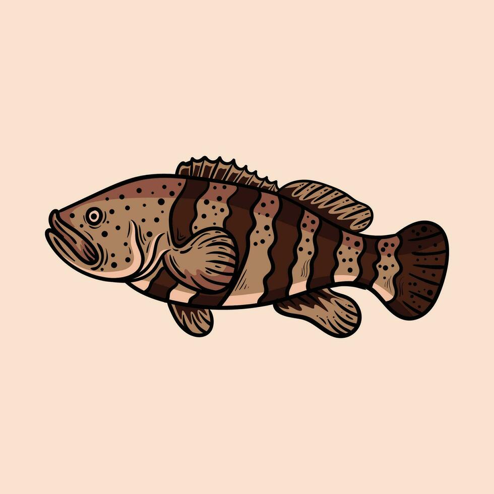 cernia pesce cartone animato illustrazione vettore