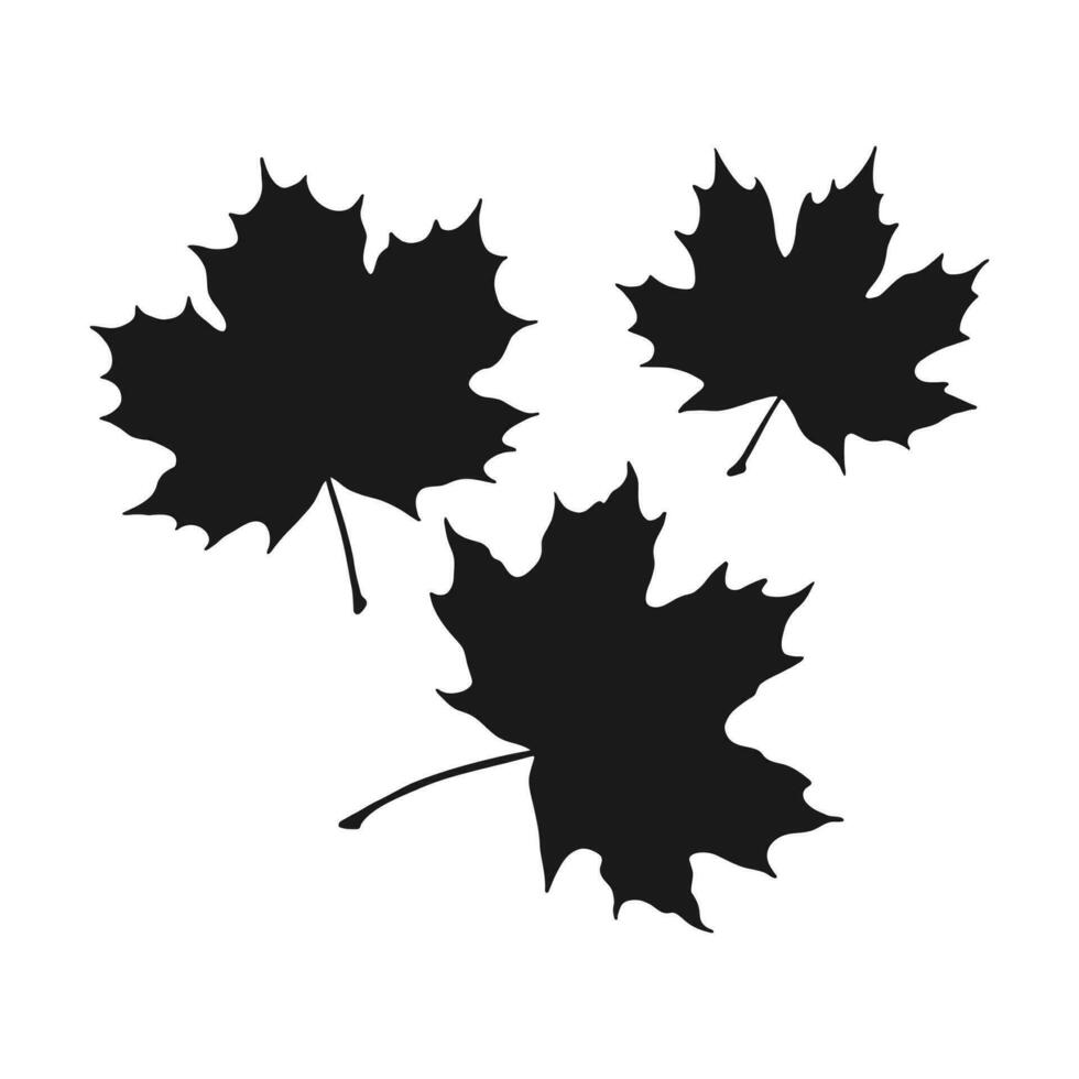 impostato di silhouette acero. mano disegnato autunno vettore illustrazione.