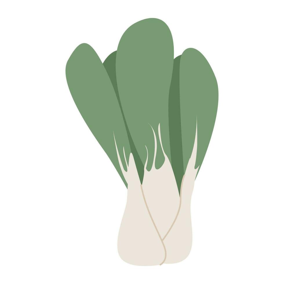 bok eh, pak choi o pok choi Cinese cavolo illustrazione isolato su bianca. vettore cavolo verdura per salutare dieta. modificabile pianta per Cinese cucina.