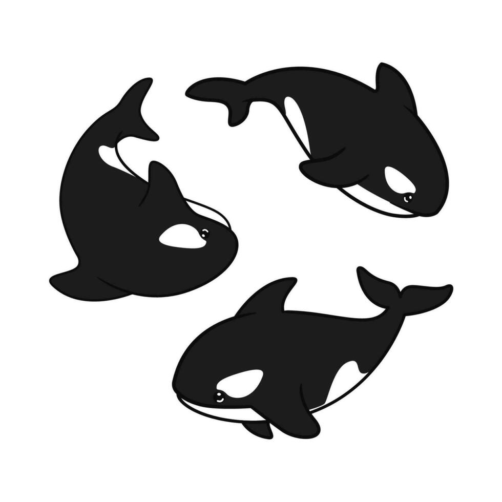 carino orca balena illustrazione design. uccisore balena vettore