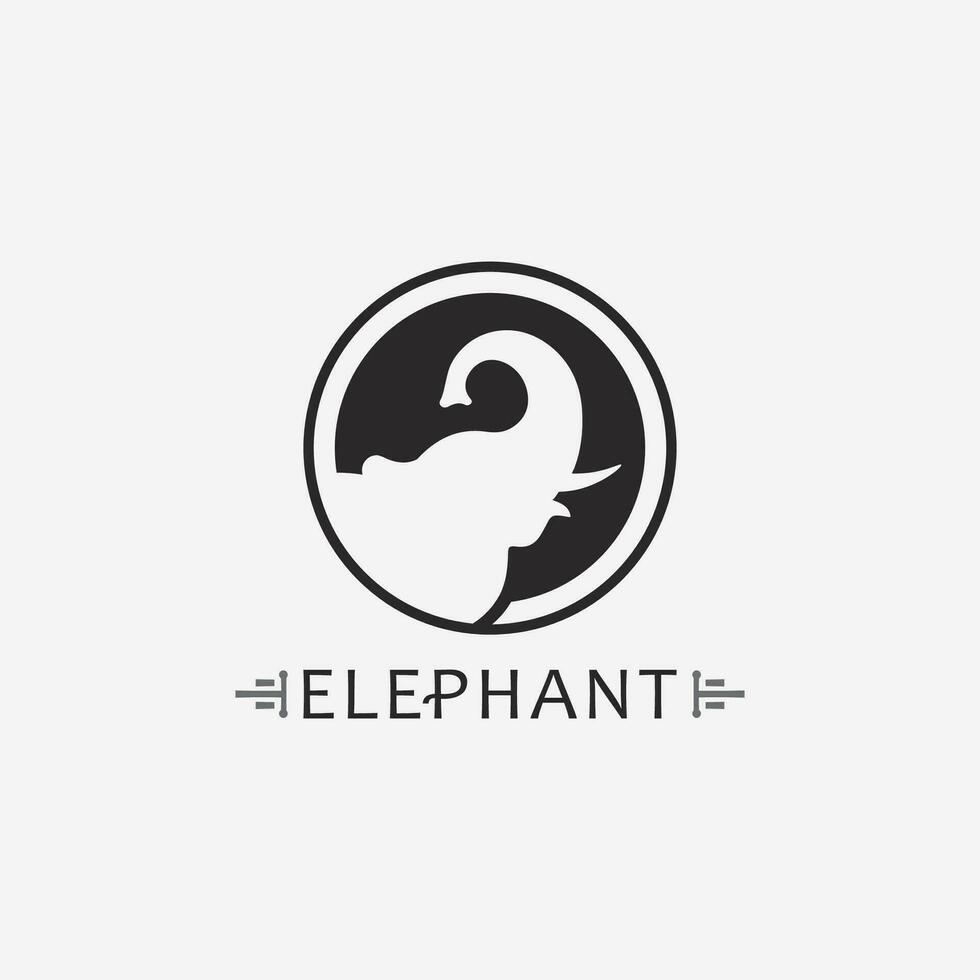 modello di progettazione dell'illustratore di vettore del logo dell'elefante