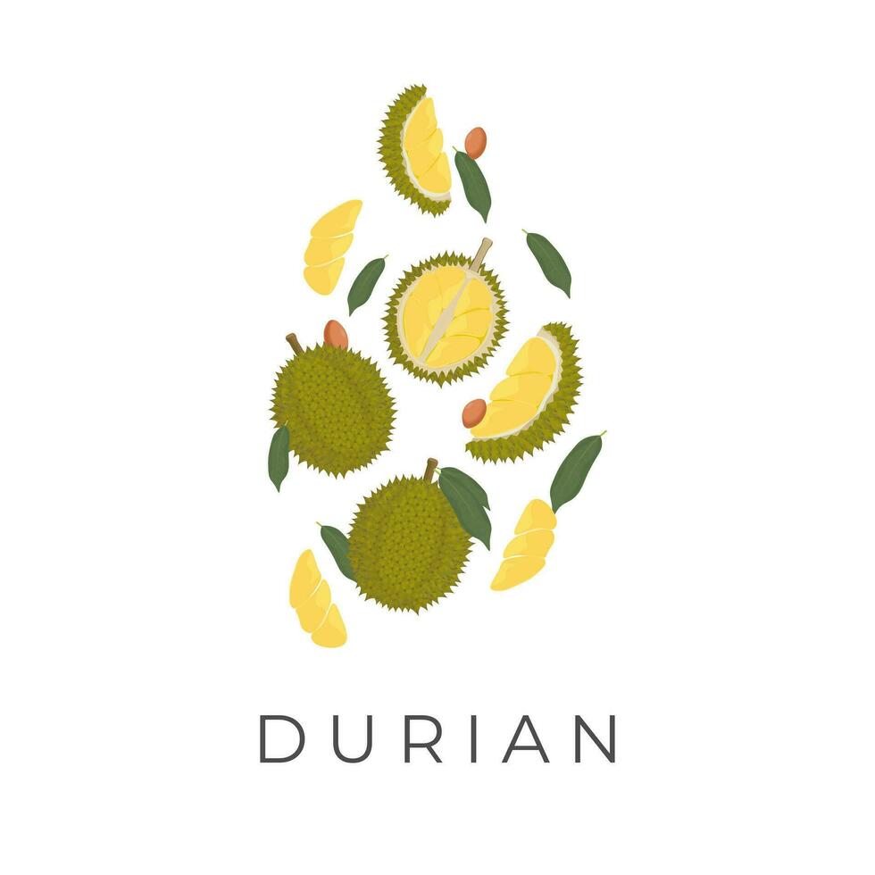 durian frutta levitazione vettore illustrazione logo