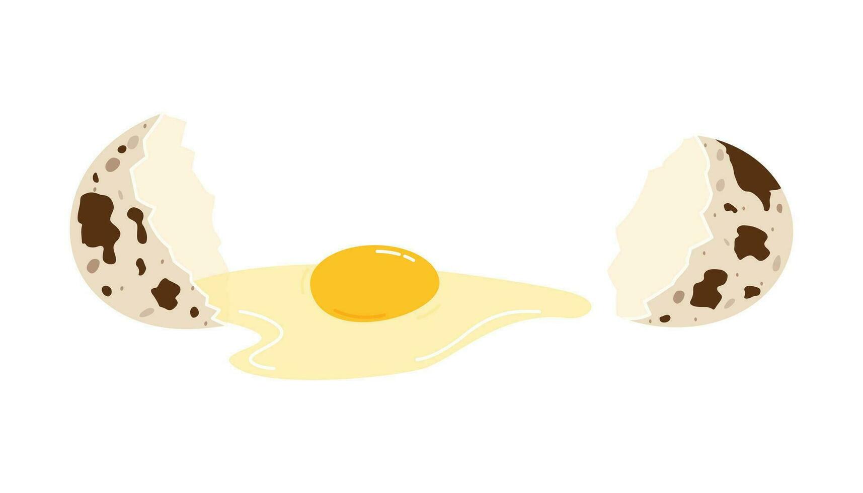 Cracked Quaglia uovo con conchiglia e tuorlo isolato su bianca sfondo. piatto vettore illustrazione