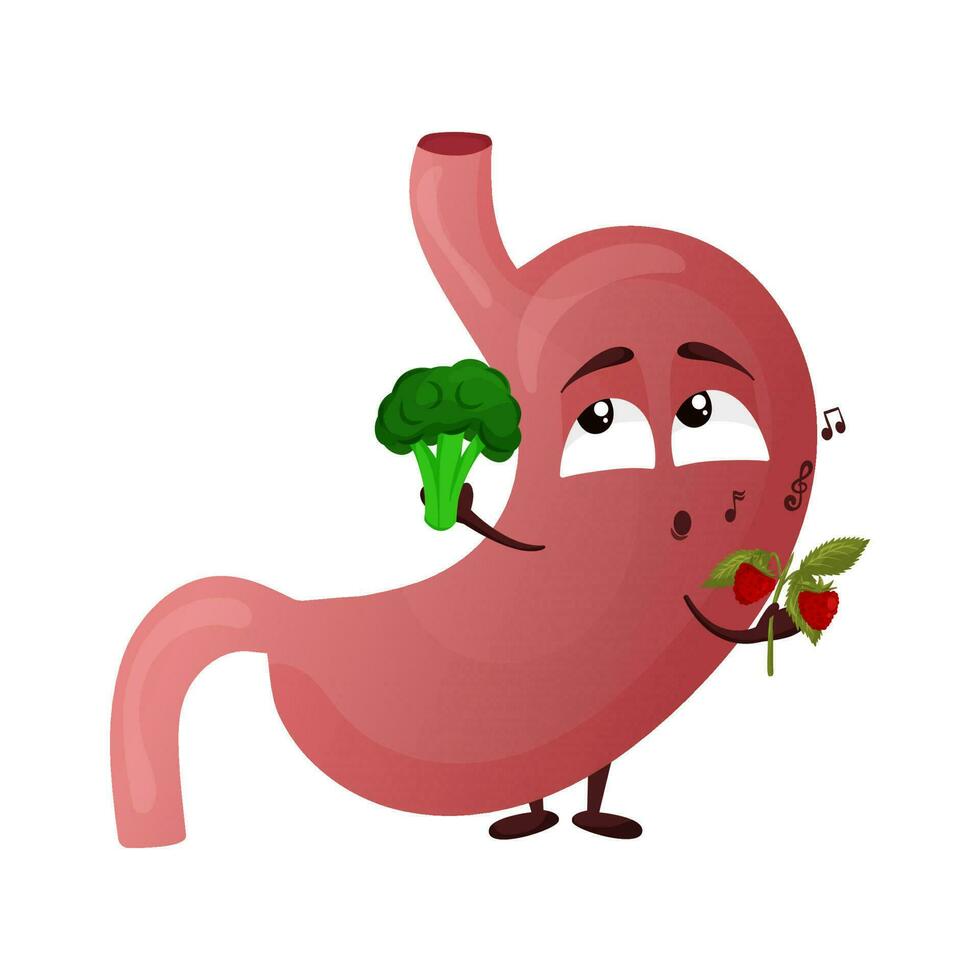 cartone animato carino stomaco carattere. concetto la scelta salutare cibo. interno organo umano. vettore illustrazione