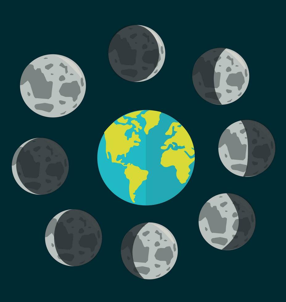 Luna fasi vettore. lunare calendario. lunare fasi vettore illustrazione