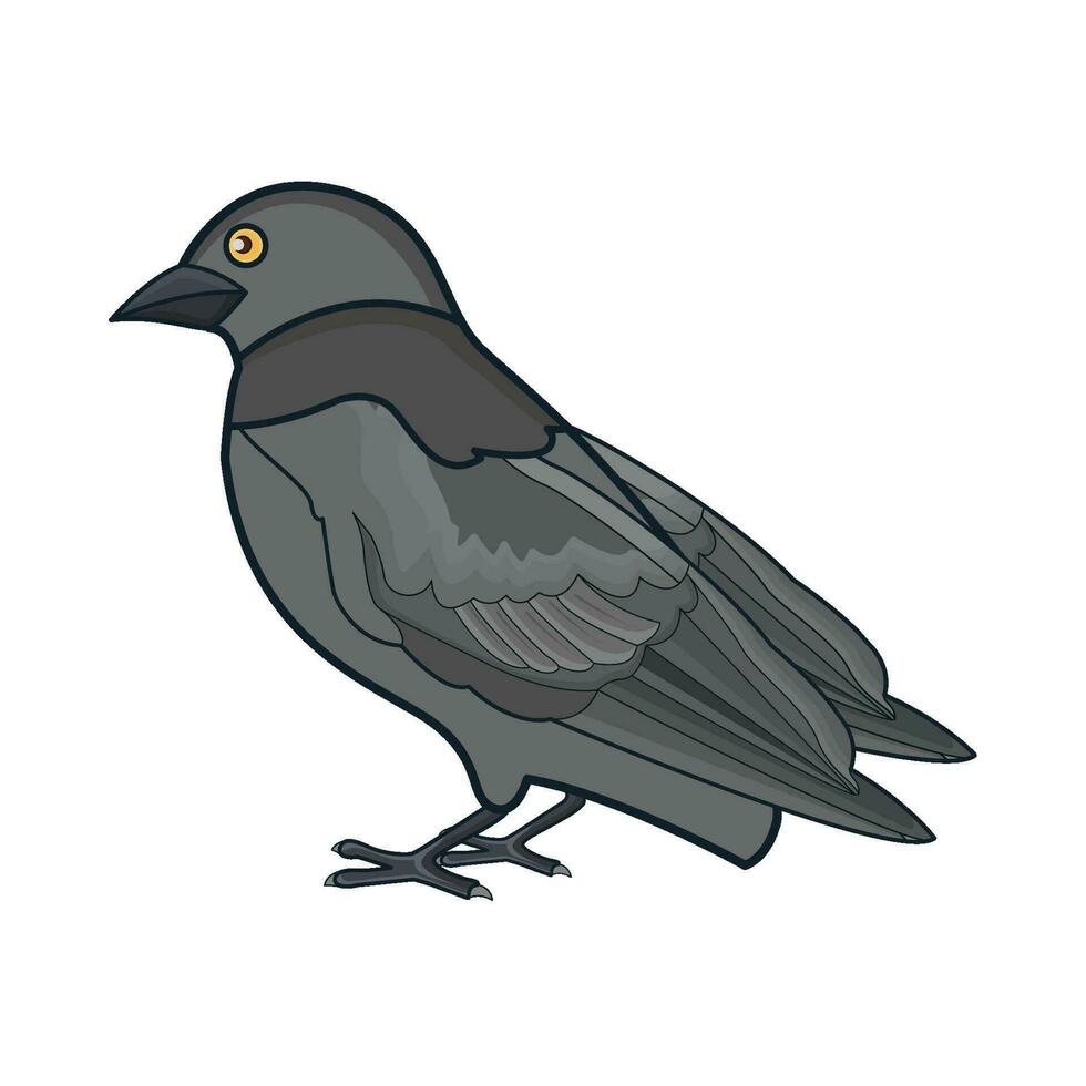 illustrazione dell'uccello vettore