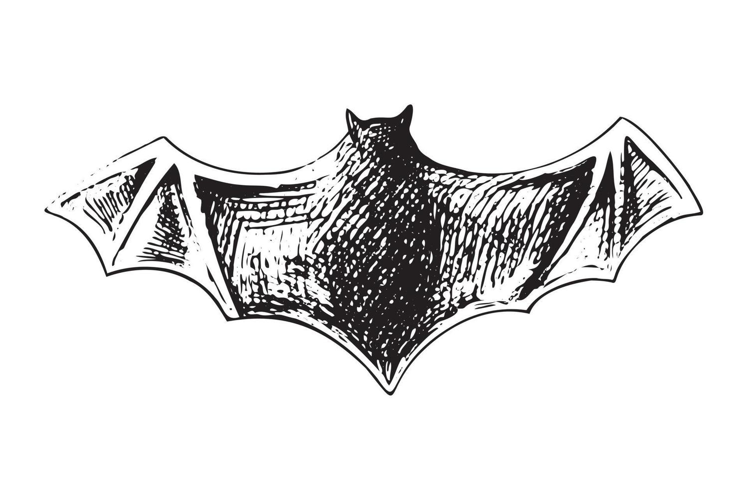 illustrazione d'epoca per halloween. uno schizzo disegnato a mano di un pipistrello. illustrazione vettoriale. vettore