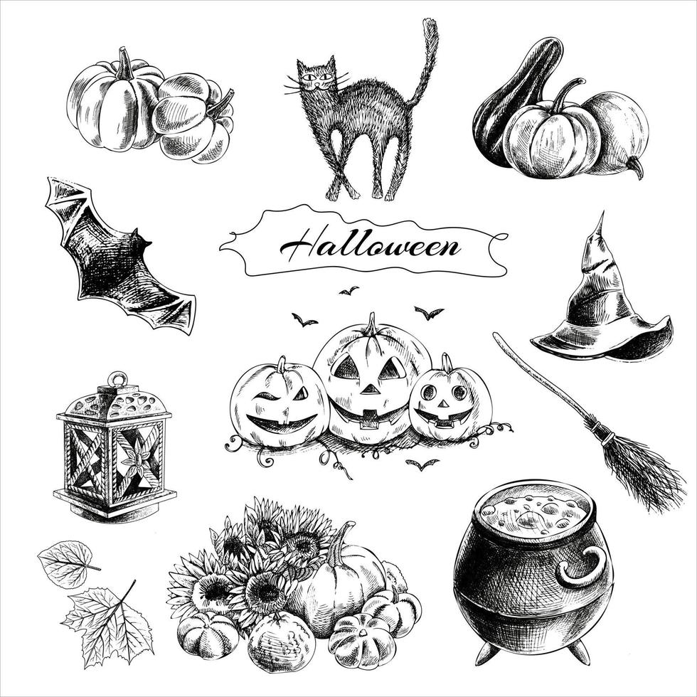 un insieme di elementi disegnati a mano per halloween. illustrazione vettoriale d'epoca.