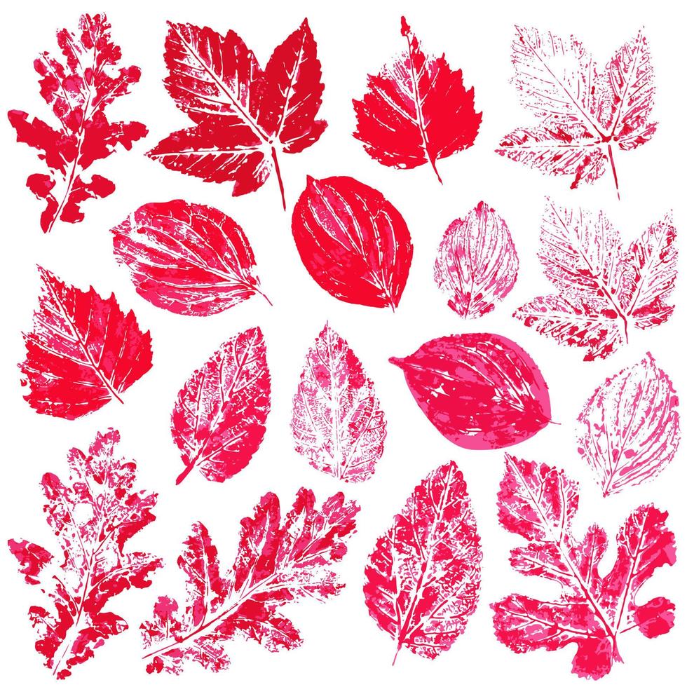 serie di disegni vettoriali con colori acrilici. raccolta di foglie autunnali