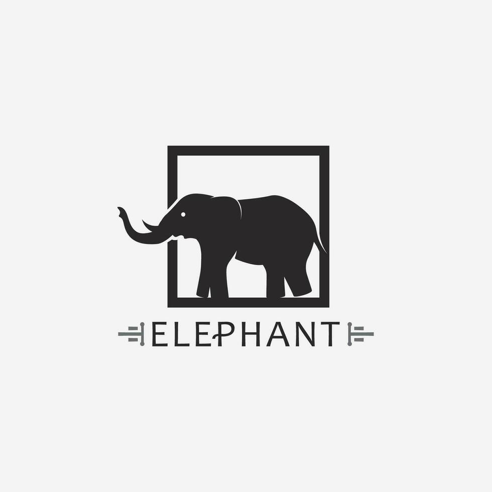 modello di progettazione dell'illustratore di vettore del logo dell'elefante