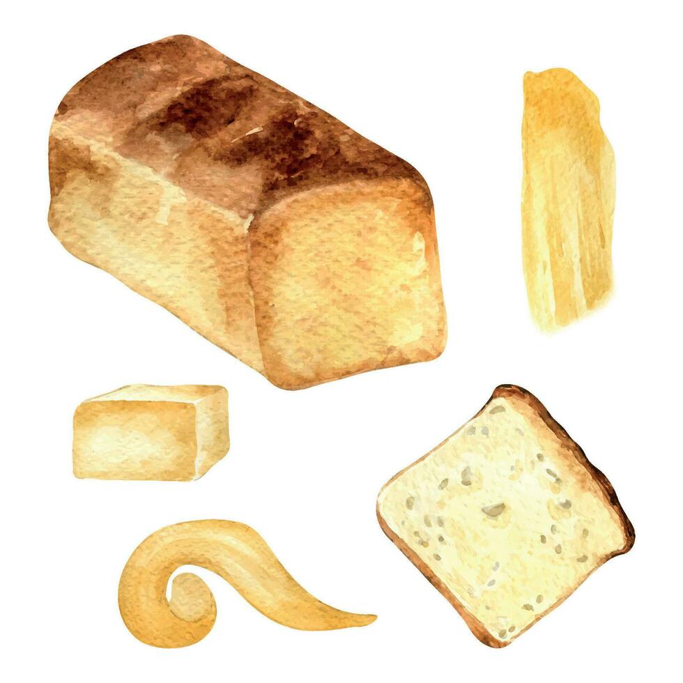 crostini pane totale e fetta acquerello illustrazione isolato su bianca sfondo. mano disegnato fetta di pane e burro impostato per forno negozio. dipinto fresco pane lato Visualizza. elementi per manifesto, drogheria vettore