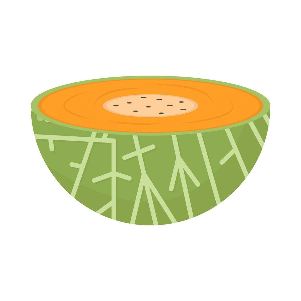 Cantalupo fetta illustrazione vettore