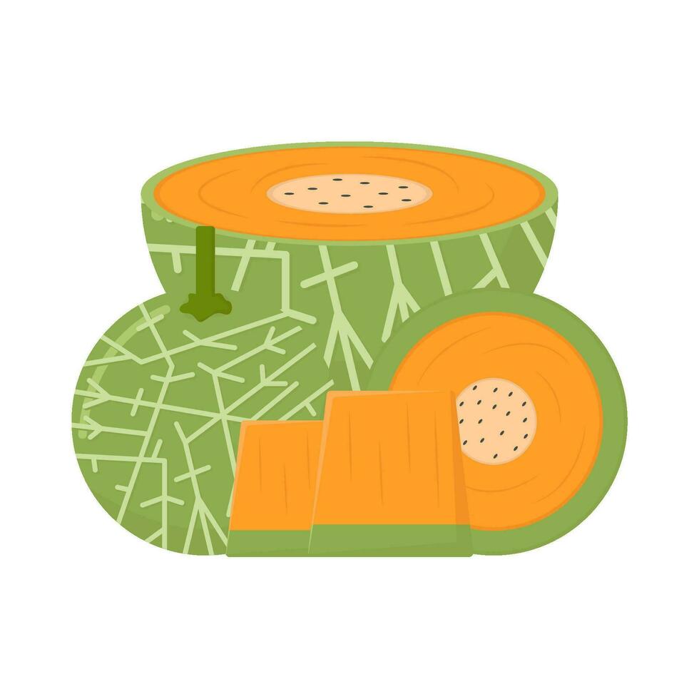 Cantalupo con Cantalupo illustrazione vettore