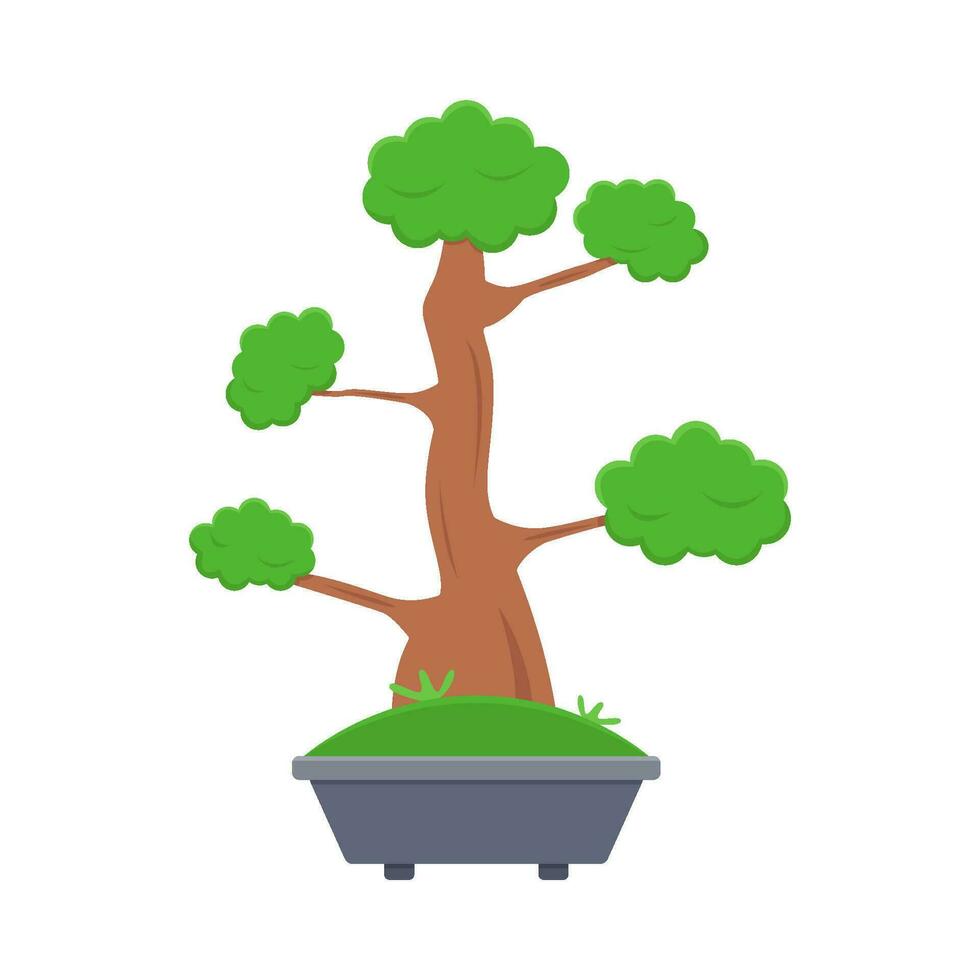 Bonsai albero nel pentola illustrazione vettore